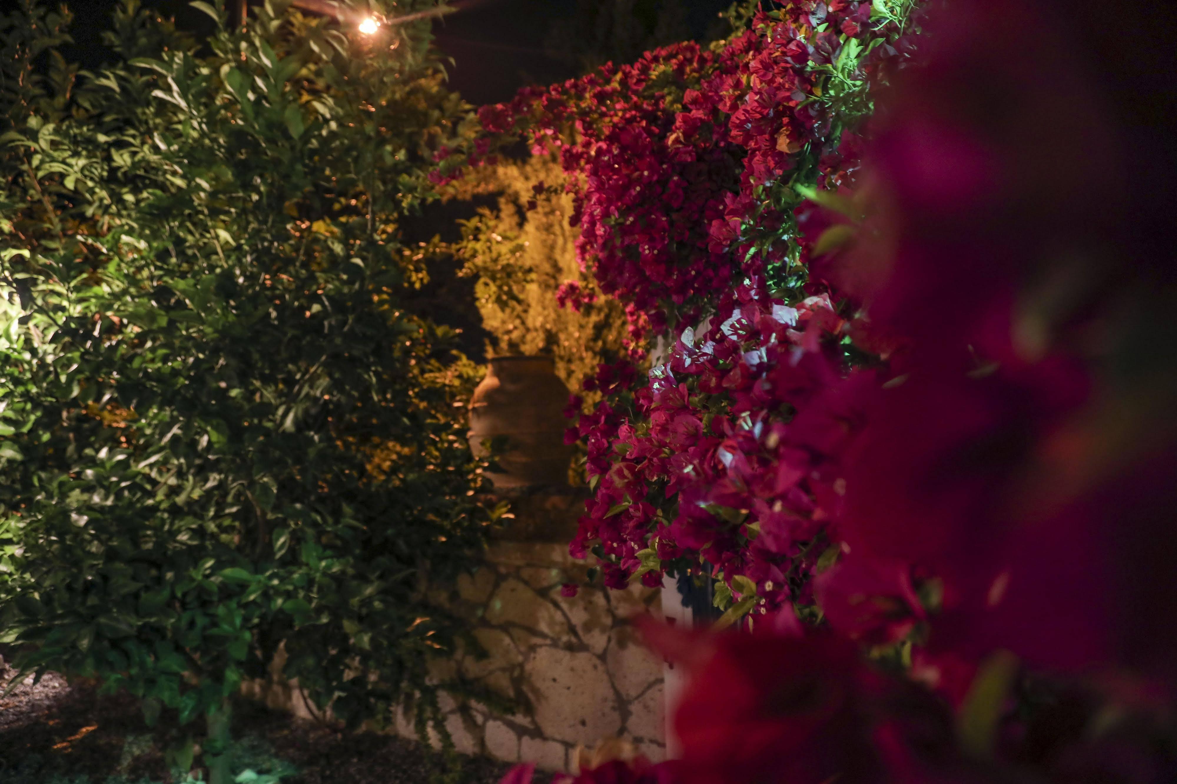 Sari Gelin Alacati Hotel Bagian luar foto