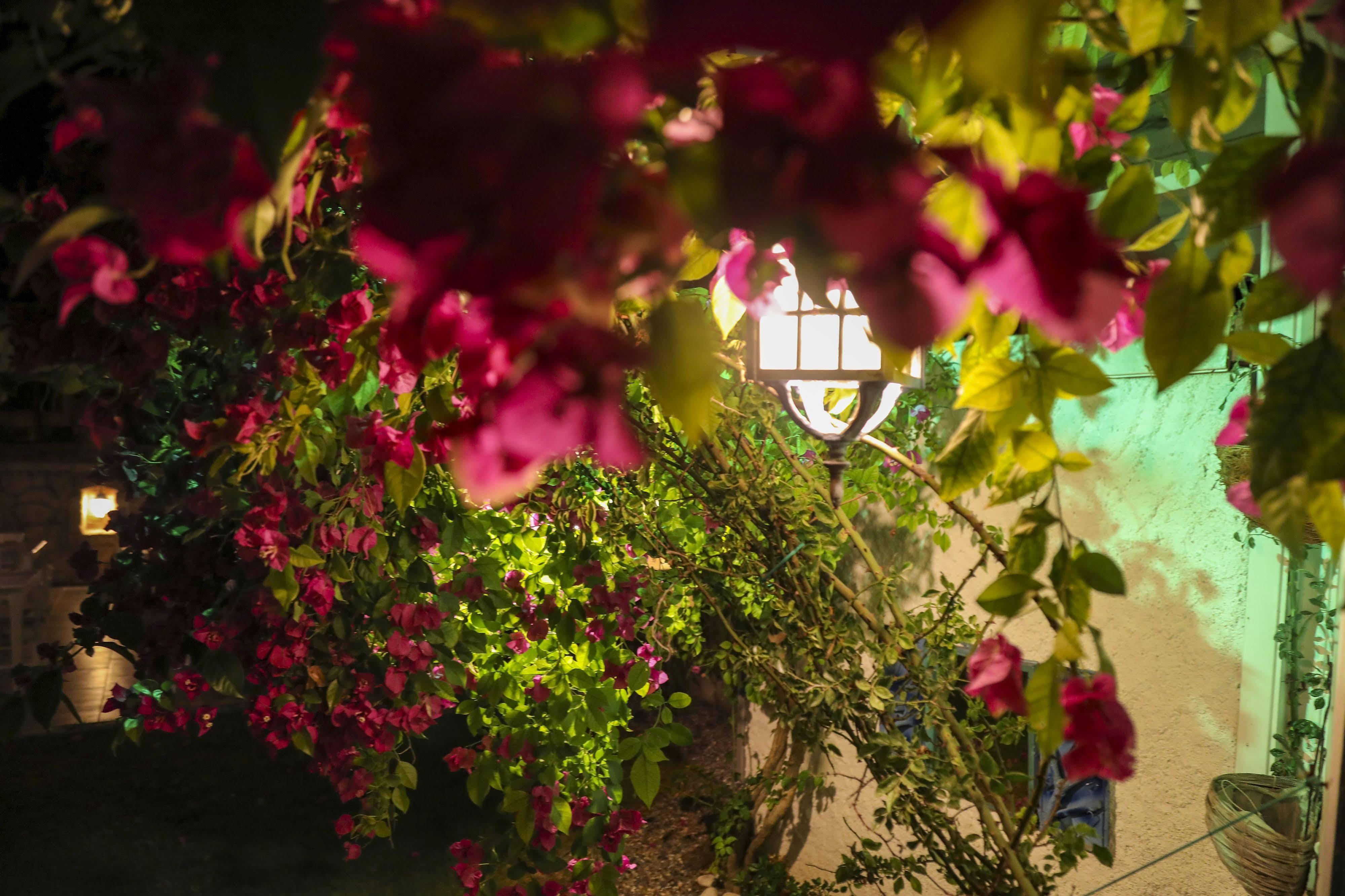 Sari Gelin Alacati Hotel Bagian luar foto